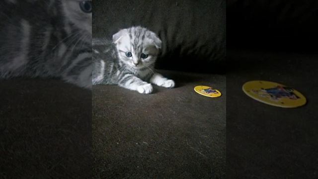 Минутка позитива ... смотреть онлайн