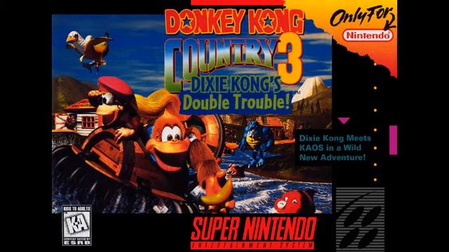 SNES: Donkey Kong Country 3: Boss Boogie: Sega Genesis/MegaDrive Cover/Remix смотреть онлайн