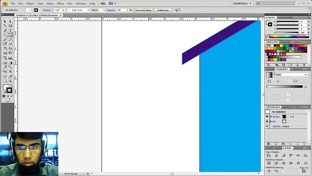 Create House in Adobe Illustrator CS4 Training in Urdu Hindi Part 1 смотреть онлайн