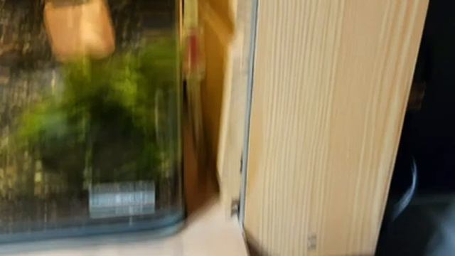 Бесшумная аэрация в аквариуме 30 литров смотреть онлайн