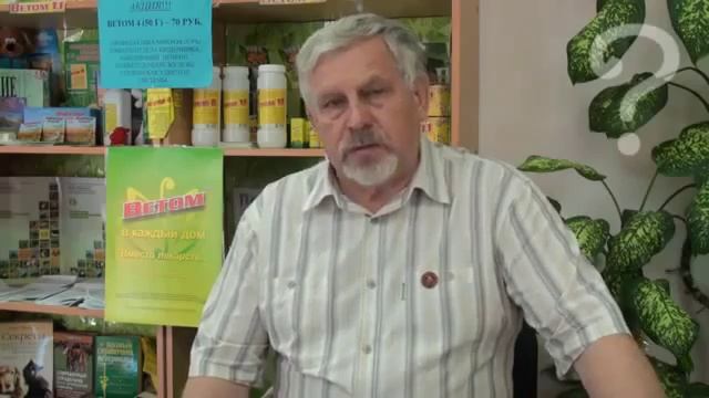 УНИКАЛЬНЫЙ ВЕТОМ!!! Жданов о Ветоме. смотреть онлайн