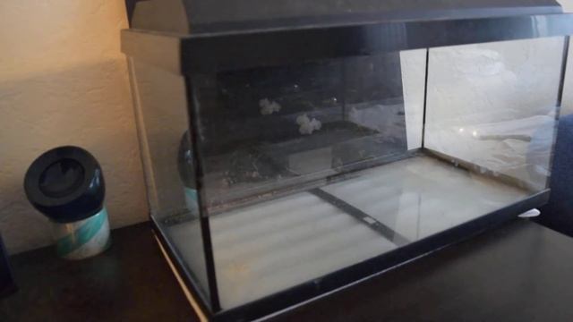 #крышка аквариума JUWEL Aquarium | 2 смотреть онлайн