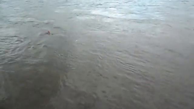 Рыбалка на тайменя видео смотреть онлайн