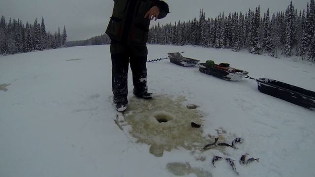 Выходной. Непромерзшие болота, паксус и окуньки. смотреть онлайн
