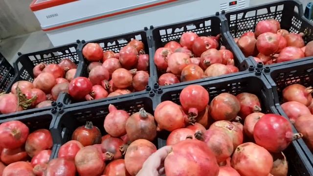Вот это я зашла.Сколько всего нового в Магазине СВЕТОФОР.Просто разбегаются глаза смотреть онлайн
