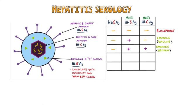 Hepatitis B Serology MADE EASY - How to Interpret Hepatitis B Serology in under 5 minutes! смотреть онлайн