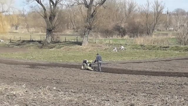 Работа мотоблока Кентавр. Культивация почвы! The work of the Centaur walk-behind tractor. смотреть онлайн