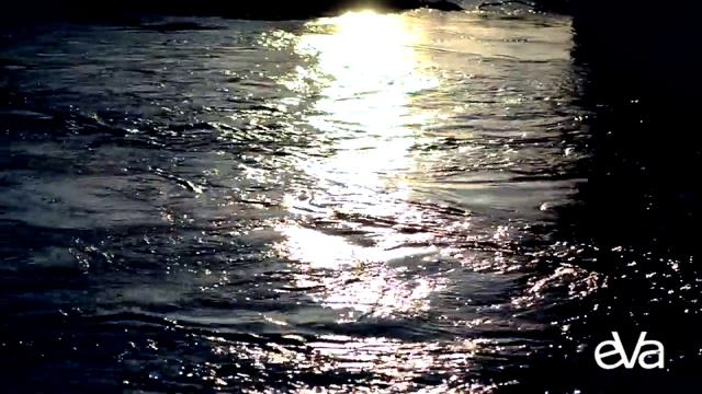 Венеция в Вологде смотреть онлайн