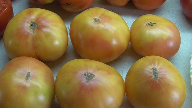 ТОМАТ ОАКСАКАНСКАЯ ДРАГОЦЕННОСТЬ. ДЕГУСТАЦИЯ. Ольга Чернова. смотреть онлайн