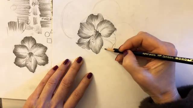 Let’s draw 43 /Amaryllis flower-Pencil & Watercolor real time 43 눈부신 아름다운 아마릴리스 아시나요? смотреть онлайн