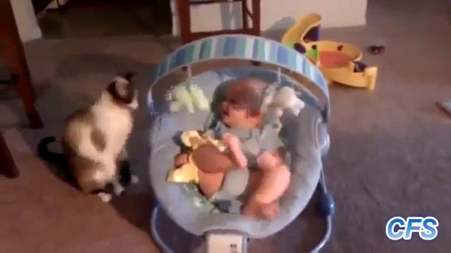 Коты и маленькие дети!!! Нарезка смешных видео 2016 смотреть онлайн