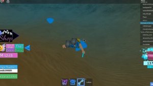 роблокс феи Винкс