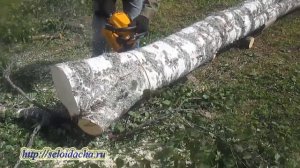 Китайская цепная бензопила Чемпион-142 (Champion-142). Как пилить  дрова бензопилой