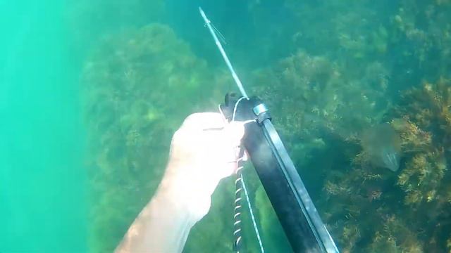 Болгария. Кефаль подошла к берегу... смотреть онлайн