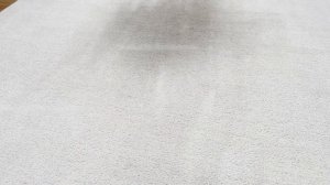 Dyson Gen5 Detect vs. V15 Detect: Detailed Comparison