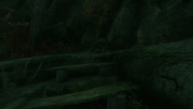 Прохождение игры The Cursed Forest. Теневой портал Часть 11 смотреть онлайн