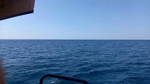 Открытое море. смотреть онлайн