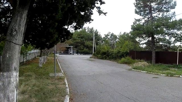 Бетта