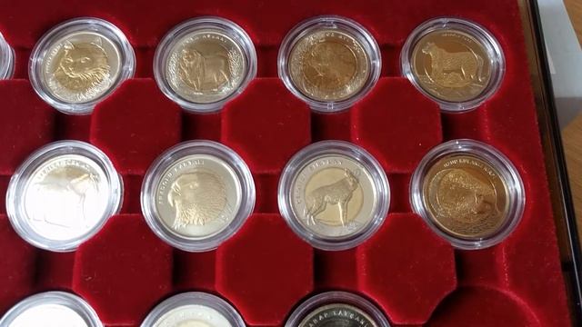 Колекція монет - Фауна Турція / Коллекция монет - Фауна Турция смотреть онлайн