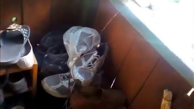 Паук притворяется мертвым (15 мая 2018) смотреть онлайн