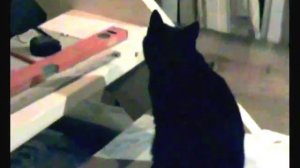 Как сделать лестницу своими руками. Забежные ступени. Ч 1