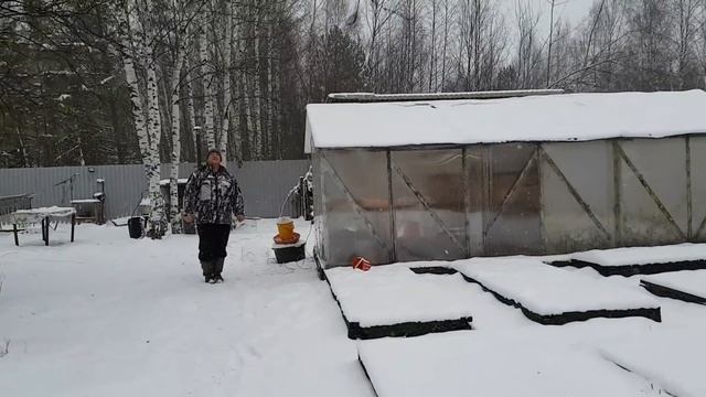 Потерял крольчиху что делать. новый птичник. снегопад. жизнь на даче кролиководство смотреть онлайн