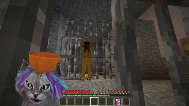 НЕПОСЛУШНЫЙ КОТЁНОК СБЕЖАЛ ИЗ ДОМА! МАЙНКРАФТ ЖИЗНЬ КОТА смотреть онлайн