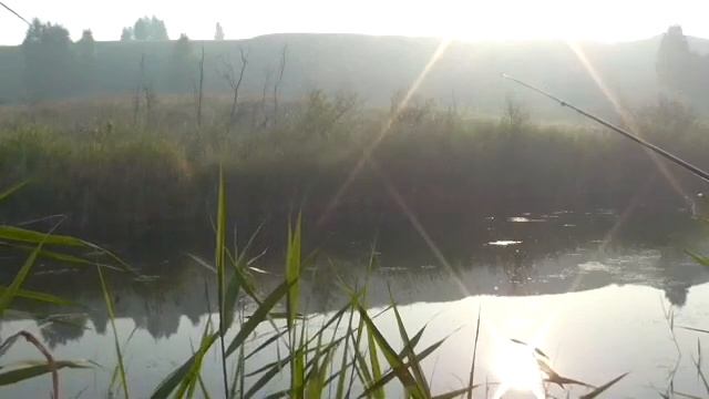 Карась обожает поесть. Прикормка работает.