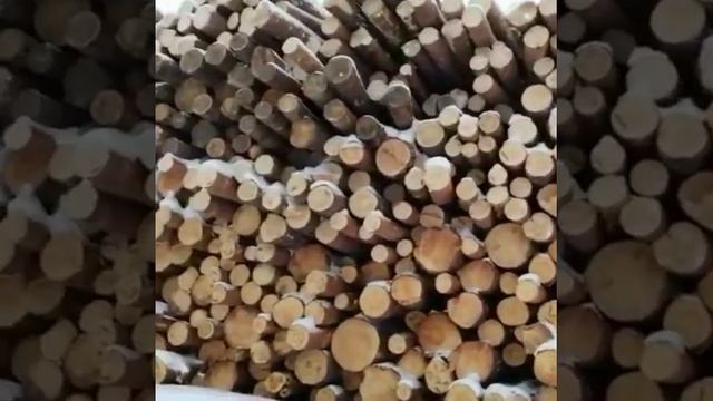 #пиловочник от ооо ураллесмаркет смотреть онлайн