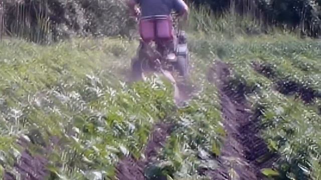 окучиваем картошку дисками смотреть онлайн