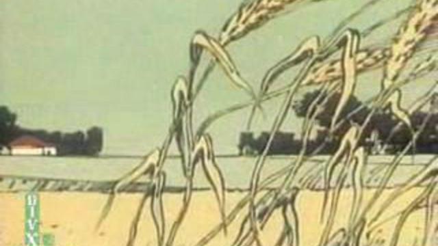 "Горячий камень" смотреть онлайн