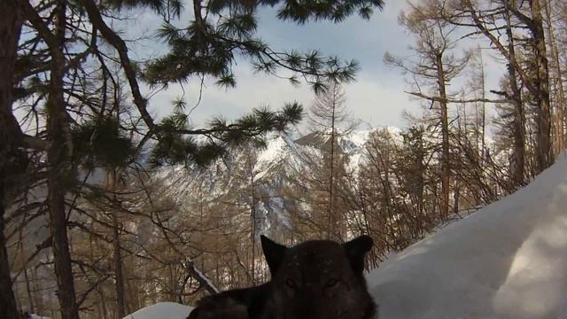Дальний восток. Бурятия. Аршан. Пик Любви.The Far East. Buryatia. Arshan. Peak Of Love. смотреть онлайн