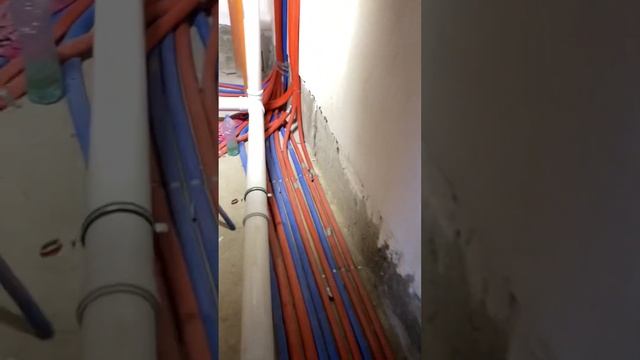 12 мая 2023 г. смотреть онлайн