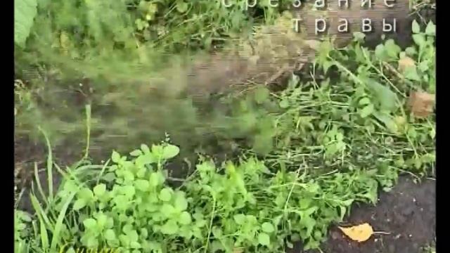 культиватор стриж смотреть онлайн