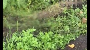 культиватор стриж