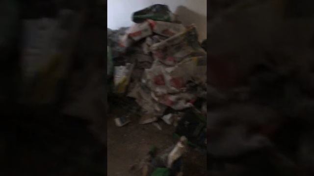 Качество капитального ремонта Столицы) смотреть онлайн