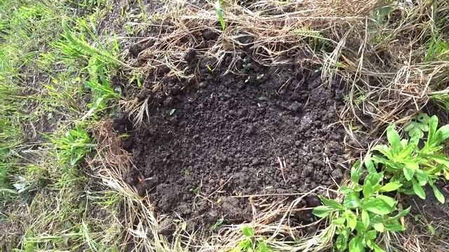 УЖЕ ГОД КАК КУПИЛИ ДОМ В КРАСНОДАРСКОМ КРАЕ И ТОЛЬКО СЕЙЧАС НАМ СТАЛО ИЗВЕСТНО ОБ ЭТОМ. смотреть онлайн