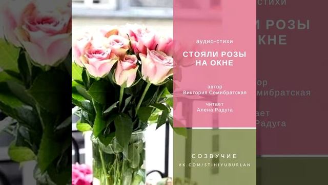 СТОЯЛИ РОЗЫ НА ОКНЕ Автор Виктория Семибратская Читает Алена Радуга смотреть онлайн