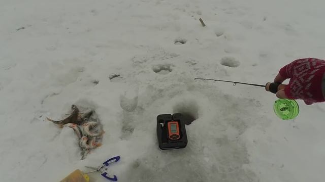 РЫБАЛКА В СУЗУНЕ НА ОБИ, окунь на балансир и плотва на мормышку смотреть онлайн