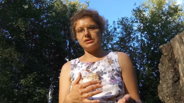 Отзыв Анны Барановой о курсе Анны Всехсвятской "Успеваю все" смотреть онлайн