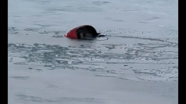 Выезд на лед опасен для жизни! смотреть онлайн