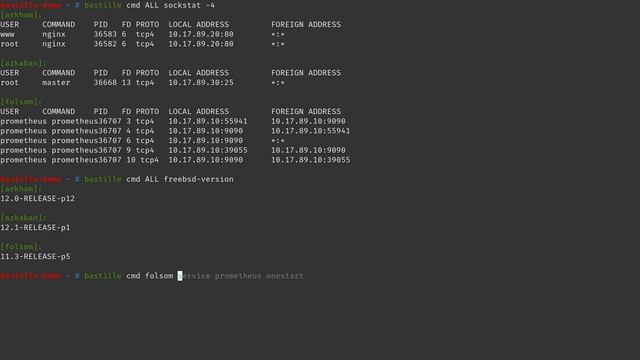 bastille cmd demo | Bastille In-Depth | Version 0.5.20191128 смотреть онлайн