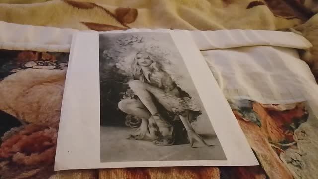 Проект по авторской схеме от Иволги "Виктория" отчет 64 смотреть онлайн