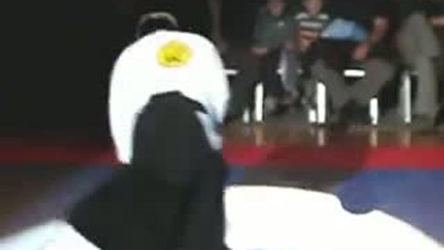 Реальное айкидо, REAL AIKIDO ... Hall Of Fame ( October 19 2008)				