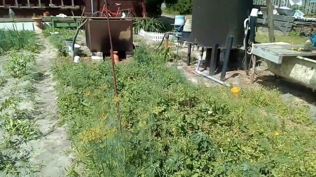 Клубника не растет. смотреть онлайн