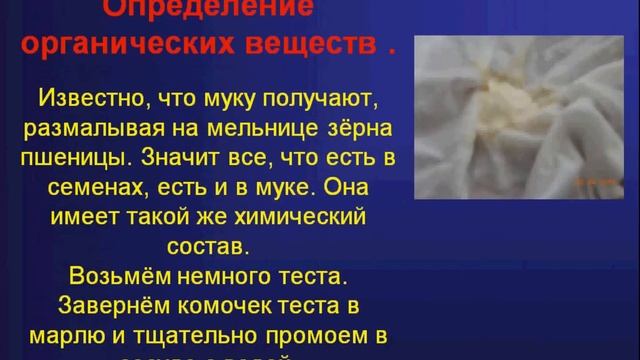 Исследовательсая работа. Биология 5 класс. смотреть онлайн