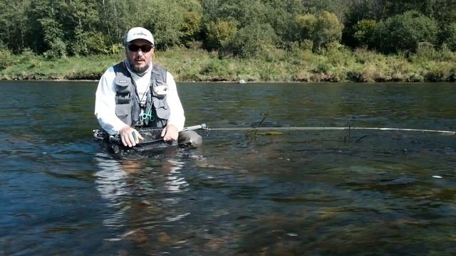 Вейдерсы превращаются... Голавль и жерех. Каким классом ловить и короткие головы... смотреть онлайн