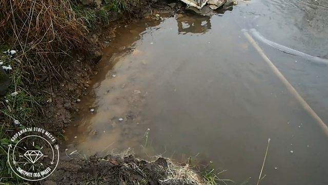 Золотоносный борт 1. Начало. Обзор Базуки. Искать золото за грамм.Search for Gold.Prospect for gol смотреть онлайн