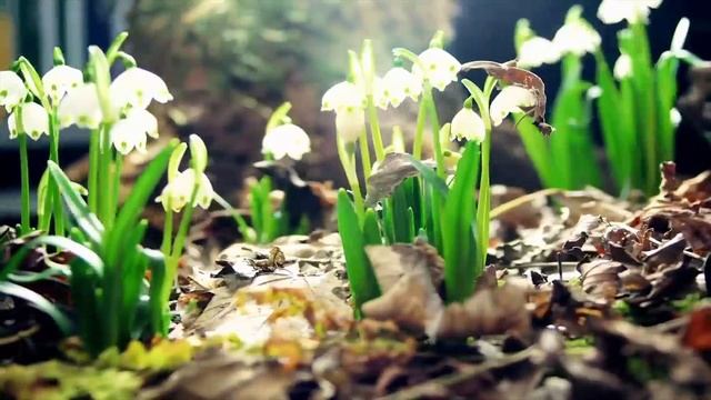 Времена года смотреть онлайн