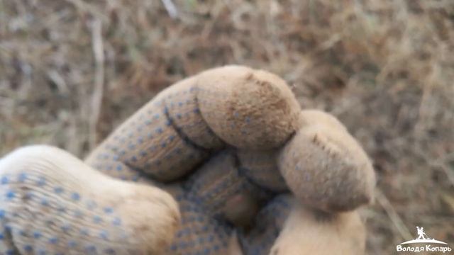 Разведка старых полей 4 смотреть онлайн